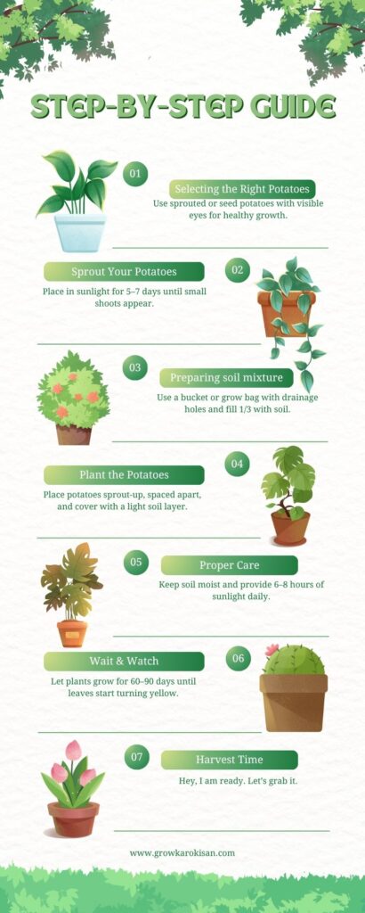 step-by-step-guide-how-to-grow-potatoes-at-home