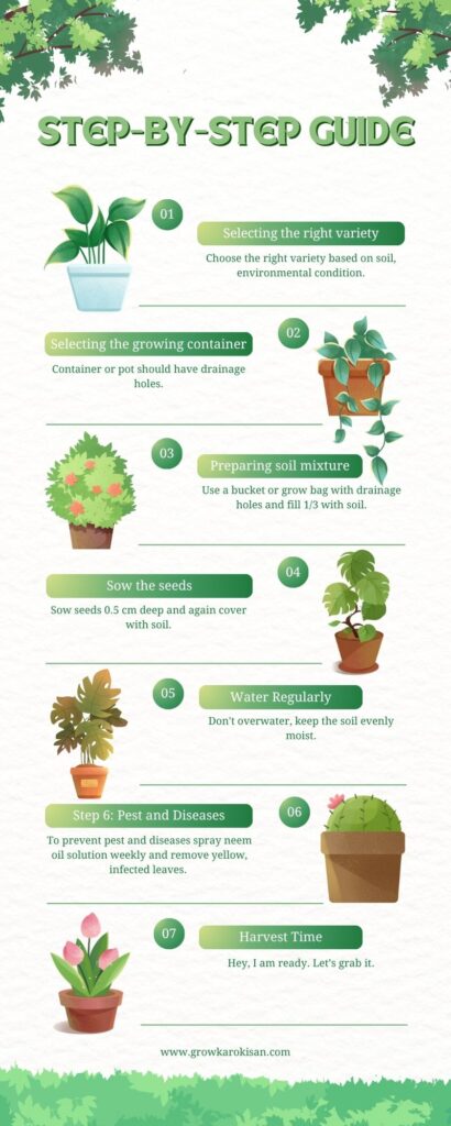 step-by-step-guide-how-to-grow-tomatoes-at-home