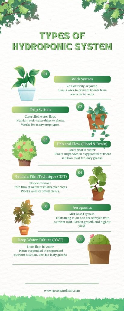 types-of-hydroponic-system
