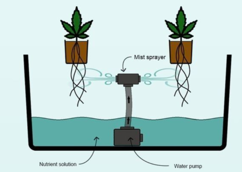 aeroponics-system